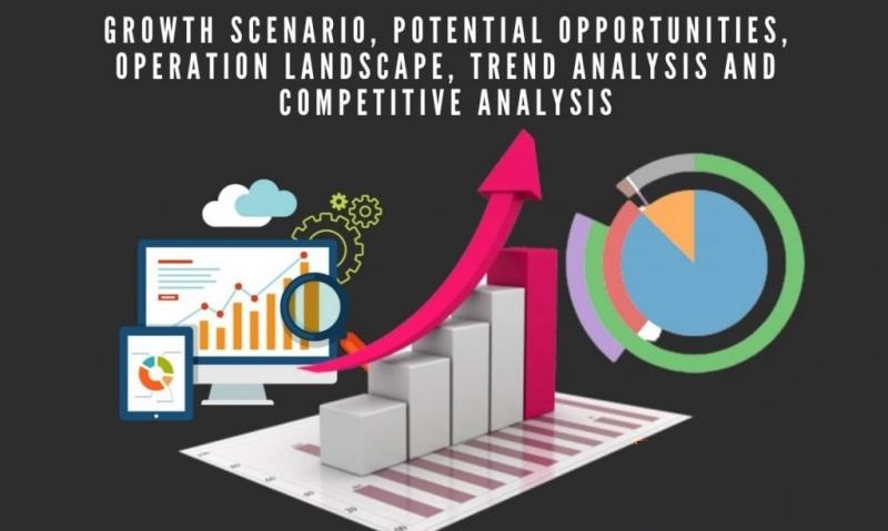 Surface Vision and Inspection Market